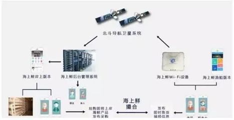 海鮮消費受益消費升級,品牌化運營成趨勢(下)